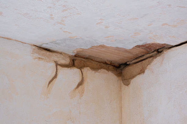 Best Sewage cleanup and water damage restoration  in Mayfield Heights, OH