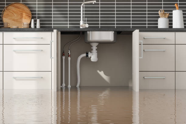 Best Flood restoration services  in Mayfield Heights, OH